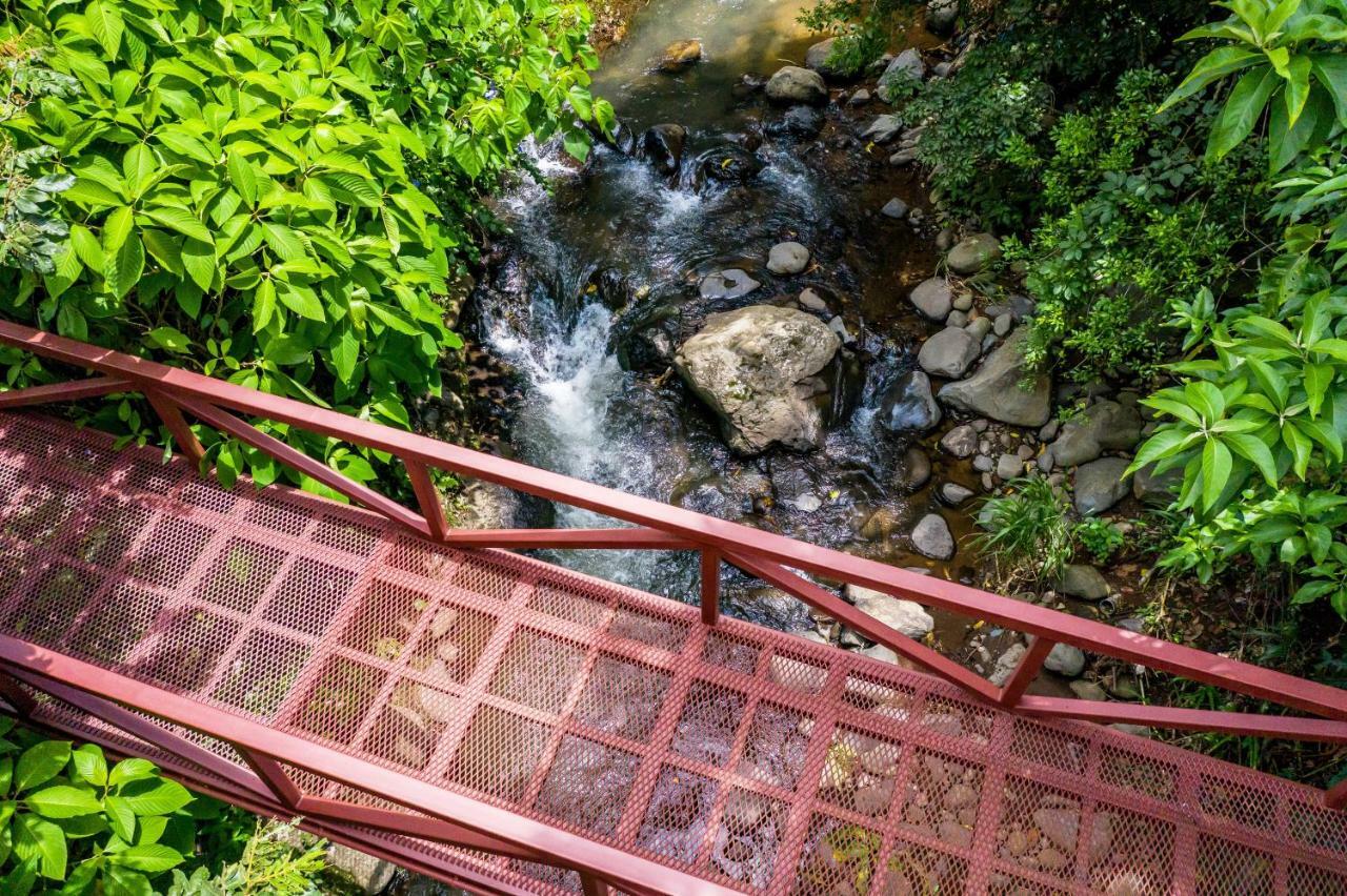 La Terraza Guest House B&B グレシア エクステリア 写真